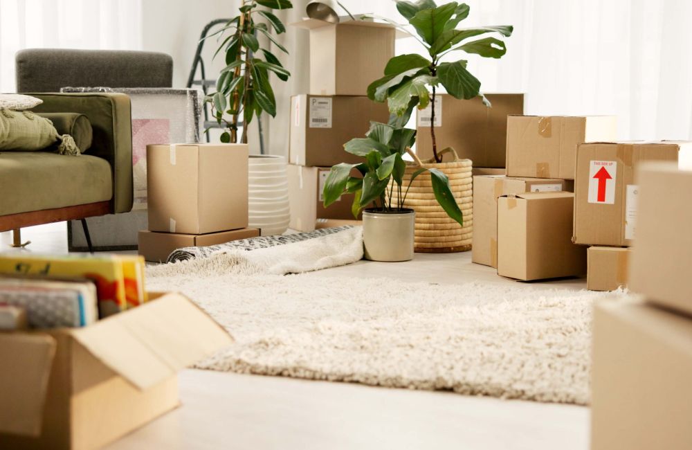 Aufnahme eines Wohnzimmers, in dem Umzugskartons stehen.