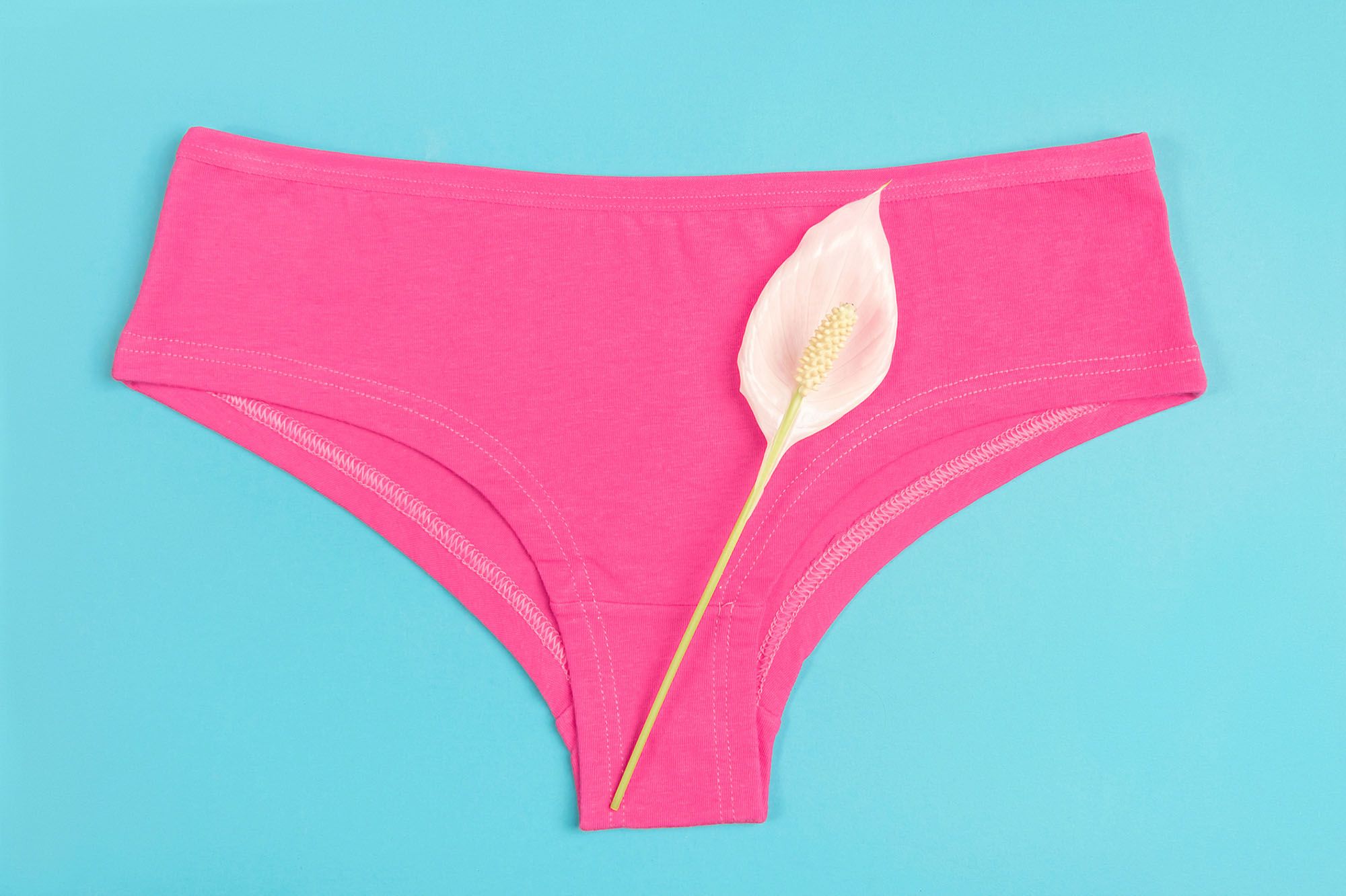 Pinke Panty mit Orchideenblüte auf hellblauem Hintergrund