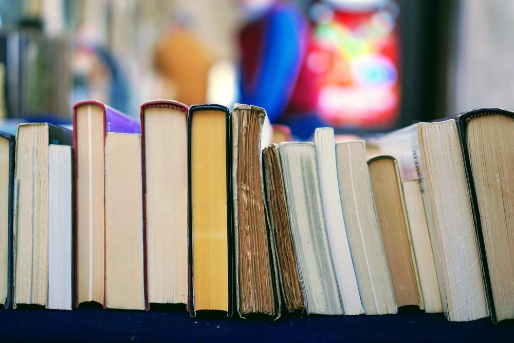 Viele Bücher stehen aneinandergereiht nebeneinander 