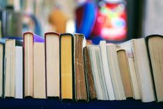 Viele Bücher stehen aneinandergereiht nebeneinander 