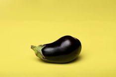 Eine dicke Aubergine liegt vor gelben Hintergrund